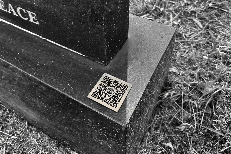 Trang Chủ dat tam bang tuong nho 900x600 1